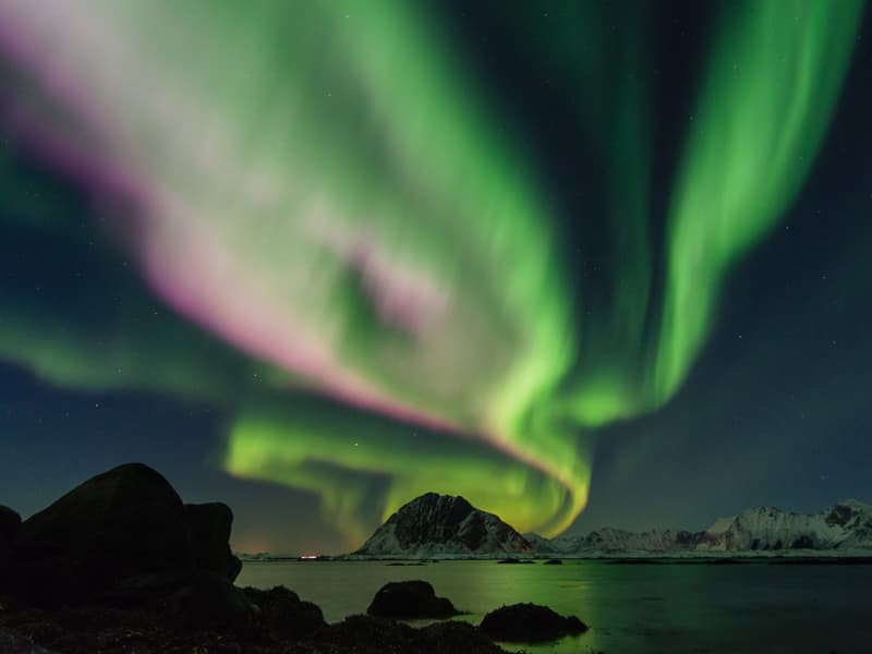 Aurora boreal verde y rosa sobre picos nevados y una bahía en calma en Lofoten, norte de Noruega.